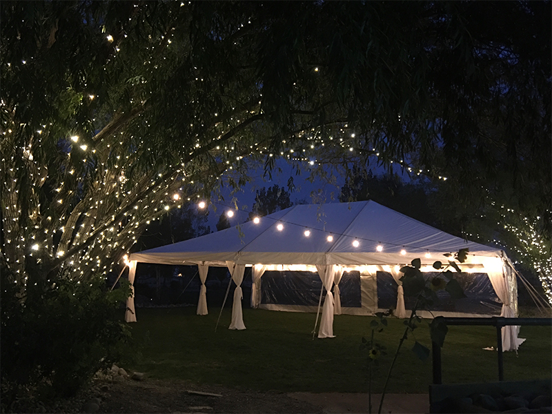 Night sky at SunflowerLane Wedding & Events